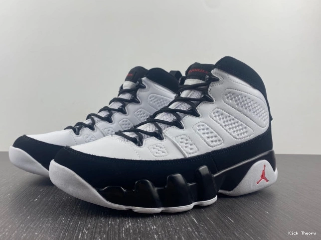 Kicktheory Jordan 302370-112 OG 9 Space Jam Air 0814